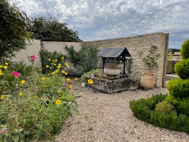 outdoor garden space with small well, yellow flowers and hedges