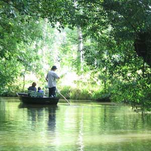 a person standing up in a boat on the marais poitevin in France