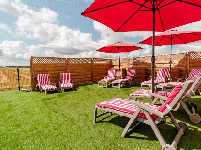 grassed area with sun loungers and parasols with red striped cushions