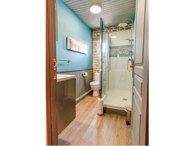 shower room including shower cubicle, toilet and basin, with blue wall and light grey woodwork