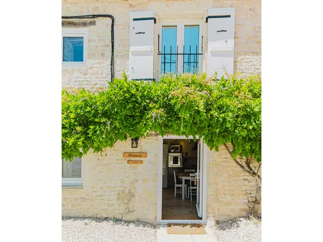 pretty cream coloured french house with wisteria plant growing around the front of the cottage